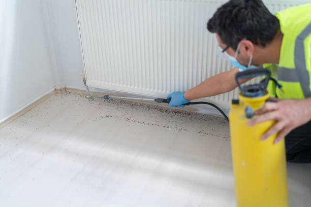 Best Local Pest Control Services  in Beach, ND