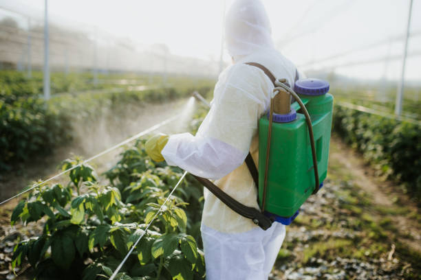 Best Pest Control Near Me in Beach, ND